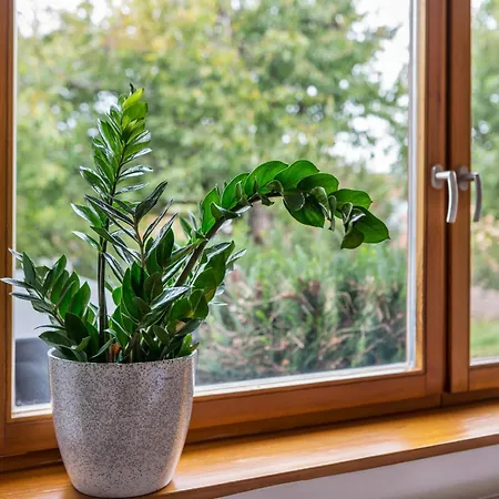 Apartment Haus Gartenblick Annweiler am Trifels