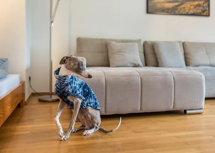 아파트 Haus Gartenblick *